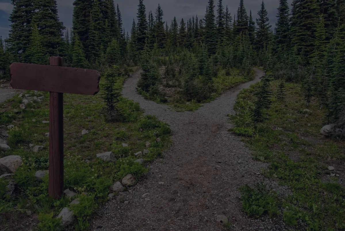 A forking path through a forest, representing the finances of a career pivot.