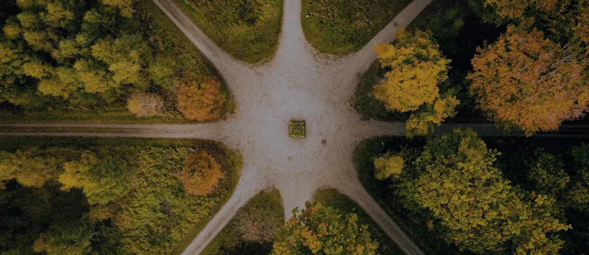 An aerial view of six forest paths meeting at a single clearing in autumn.