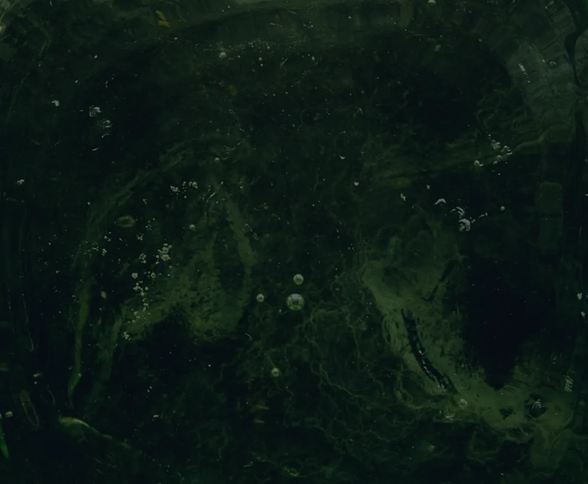 An emerald abstract texture on dark, representing high-yield savings accounts.