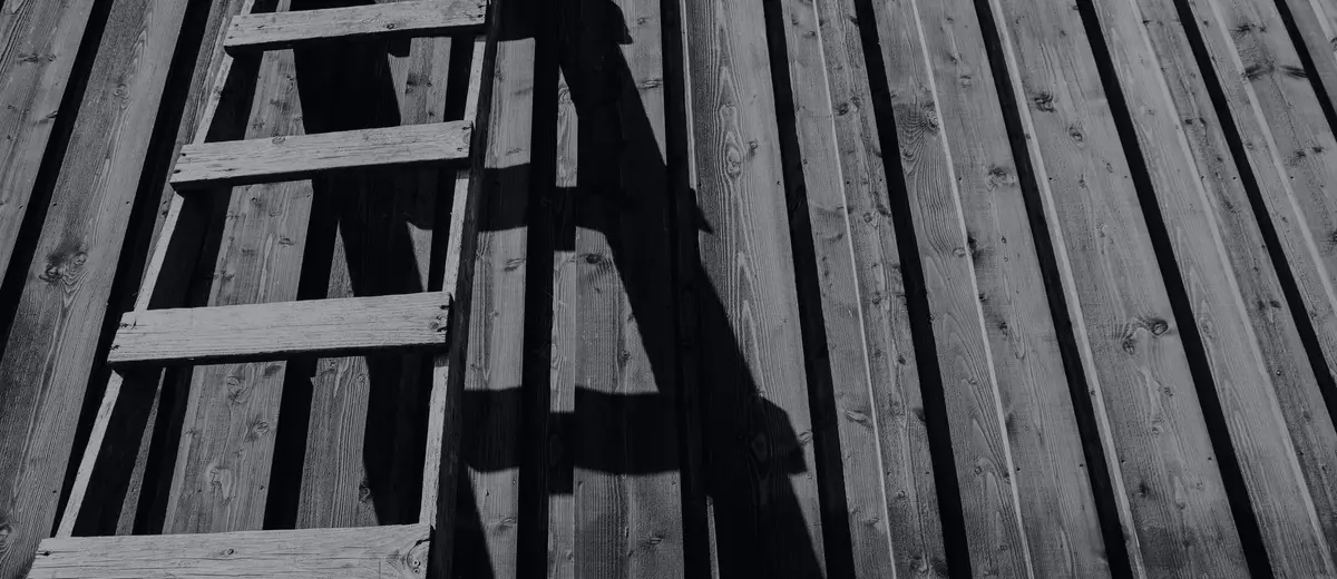 A wooden ladder leaning against a plank wall, casting a long shadow.